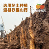 西域美农 温县铁棍山药片 无硫工艺，柳叶片 顺丰发货 商品缩略图10