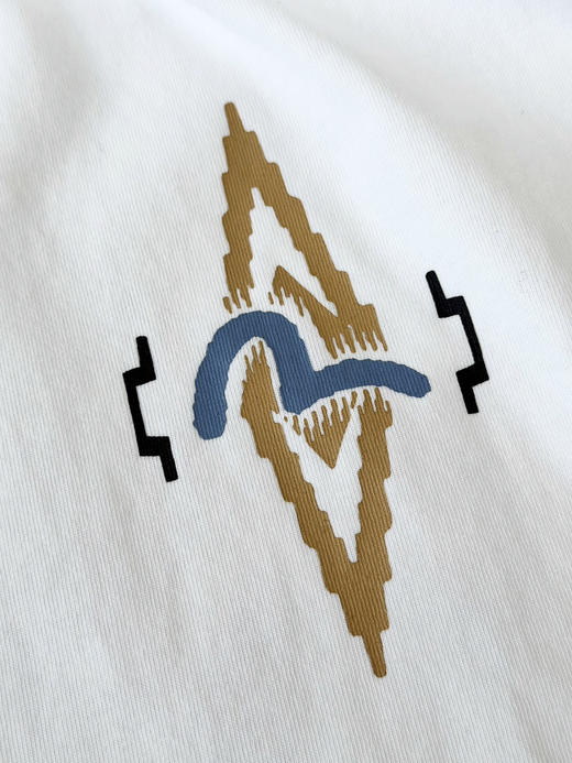 原单日潮EVISU福神小海鸥几何长袖T恤，情侣款！
颜色：白色
尺码：m l xl xxl 商品图3