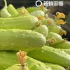 【牛奶白玉黄瓜】采用发酵大豆施肥，牛奶灌溉，新鲜采摘发货，瓜肉饱满，口感爽脆，非常适合生吃，“咔嚓”一声，一口咬下，清脆悦耳·满嘴尽是清新。 商品缩略图4