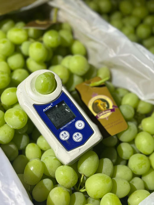 澳洲🦘甜地球无籽青提，看名字就知道它的口感啦，特别的脆甜。特别新鲜，卡兹脆甜太好吃了 商品图11