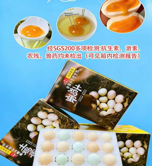【七彩山鸡蛋】SGS机构检测 真正的无农残  无激素  无色素  无抗生素  农家散养土鸡蛋40枚 原生态散养 新鲜采集 营养好吸收  1004 商品图2