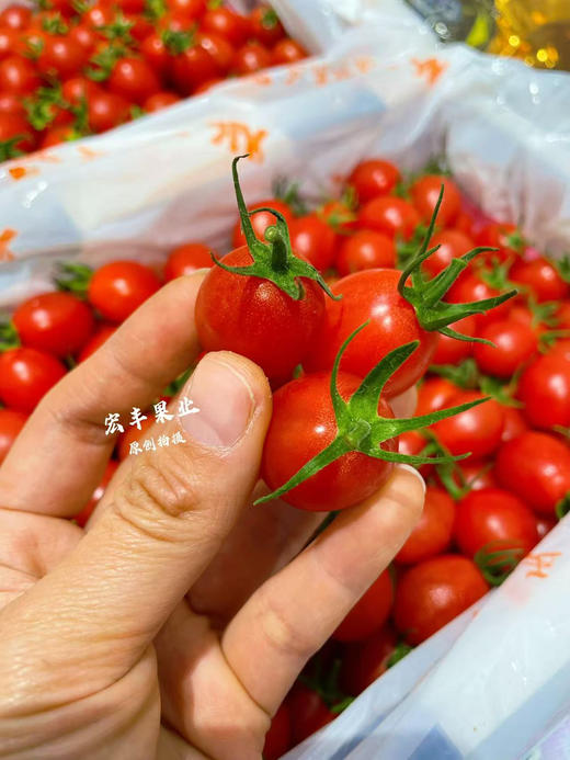 宏丰精选 红黄千禧圣女果 ，口感很甜，当季水果推荐 商品图7