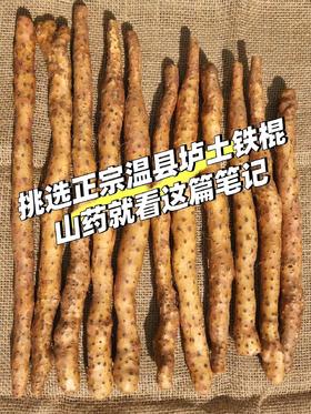 山药图文菜谱（社群）