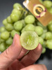 澳洲🦘甜地球无籽青提，看名字就知道它的口感啦，特别的脆甜。特别新鲜，卡兹脆甜太好吃了 商品缩略图10
