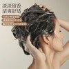 迪彩小种姜鲜榨姜汁强韧焕活护根防脱洗发水380ml效期26年11月 商品缩略图1