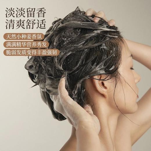 迪彩小种姜鲜榨姜汁强韧焕活护根防脱洗发水380ml效期26年11月 商品图1