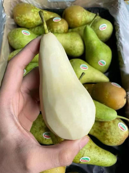 比利时进口啤梨 商品图2