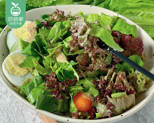 享通绿色沙拉生菜组合（300g±30g/包） 商品图2