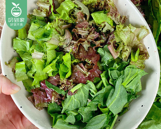 享通绿色沙拉生菜组合（300g±30g/包） 商品图1