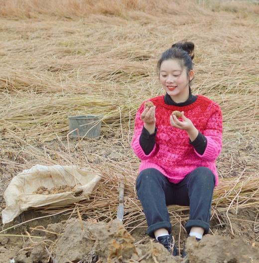 有机荔浦马蹄｜荔浦顺丰 商品图5