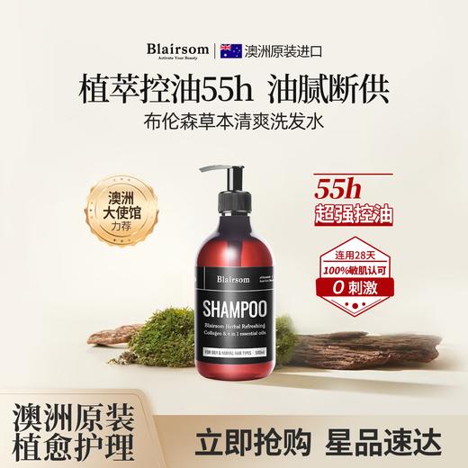 Blairsom布伦森草本控油洗发水 蓬松清爽养发无硅油 500ml 商品图0