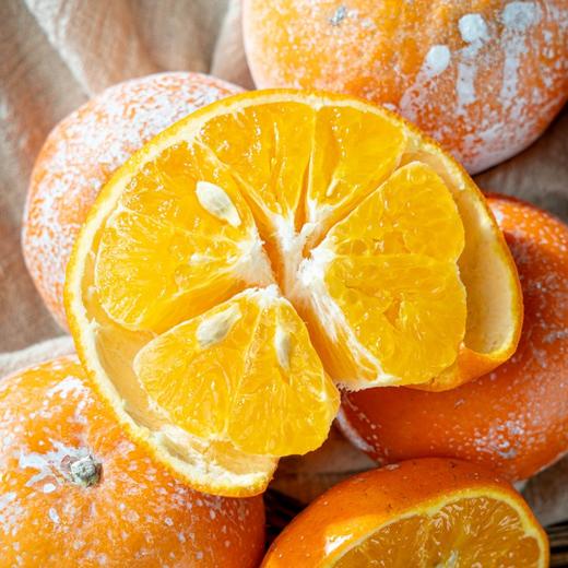 【网红脏脏柑】皮薄肉嫩，富含维C，味如“天然芬达”汽水，每个果子都涂“防晒霜”每年都超火爆的品，快来一起尝鲜啦！ 商品图5