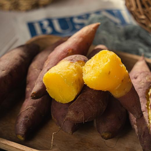 挑剔虎金手指小香薯小地瓜 口感绵密宝宝辅食健康代餐 商品图0