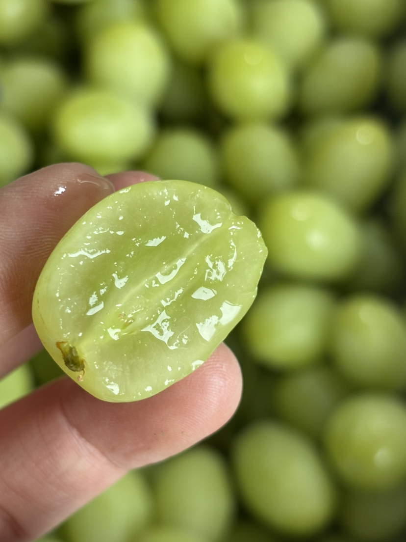 澳洲甜地球到货！脆甜多汁 皮薄肉脆 口感极佳～