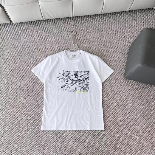 F022764新春限定植绒毛茸1996标语时尚短袖T恤 商品图7