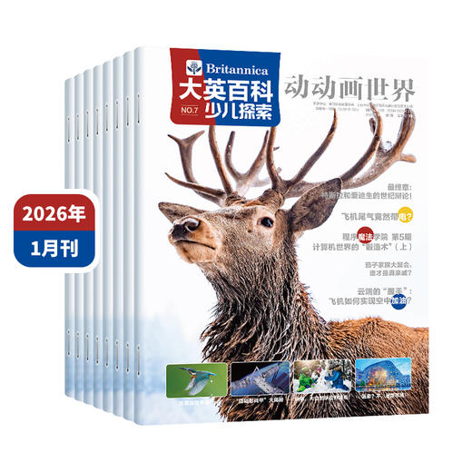 大英百科少儿探索杂志(全年共12期)【全年订阅】赠畅销爆款冒险岛数学奇遇记5册+双语科幻手册+12期思维导图+视频 商品图12