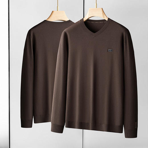 【DDS】大依优型大码男装春季休闲V领针织毛衫商务百搭长袖T恤毛衣 商品图6