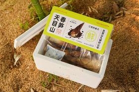 🎋现挖现发‼️头茬【天目山🌈春笋】口感脆嫩鲜甜，名扬大江南北🏆 精选特级笋✅去老根发货✅产地直发✅ 🍃就为这一口鲜