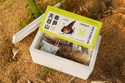 🎋现挖现发‼️头茬【天目山🌈春笋】口感脆嫩鲜甜，名扬大江南北🏆 精选特级笋✅去老根发货✅产地直发✅ 🍃就为这一口鲜 商品图0