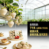 【东滩绿港】梦之芙白草莓 商品缩略图3
