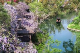 🌸 春日赏花丨濮院时尚古镇×梅尚度假酒店 · 2天1晚套餐丨嘉兴