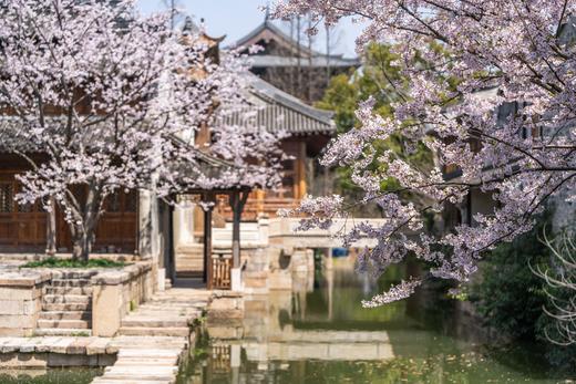 🌸 春日赏花丨濮院时尚古镇×梅尚度假酒店 · 2天1晚套餐丨嘉兴 商品图9