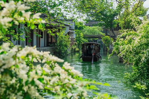 🌸 春日赏花丨濮院时尚古镇×梅尚度假酒店×3天2晚套餐丨嘉兴 商品图6