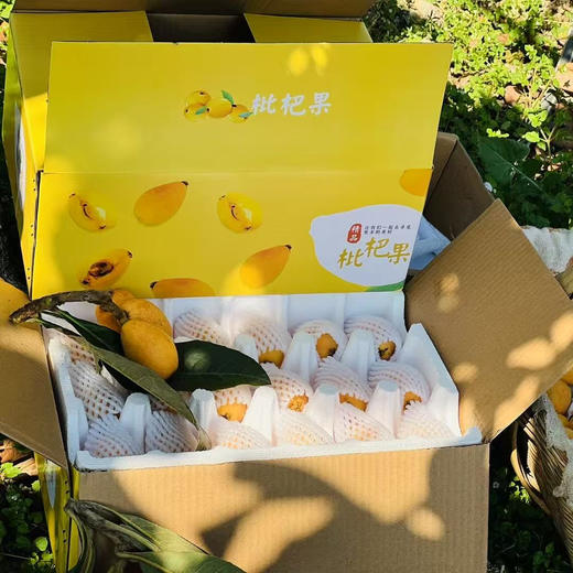 四川攀枝花米易早中枇杷 净重2.5-4.5斤装 顺丰京东直发 商品图10