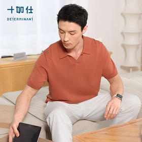 【春夏新品】十如仕男士通勤休闲高洁纱毛衣海鸥领POLO衫短袖P03-03