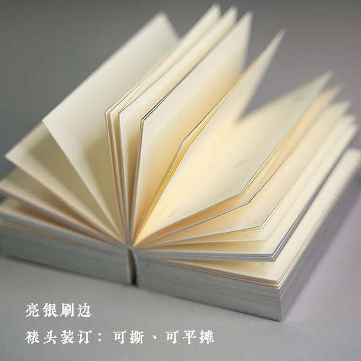 【亮银刷边】小银砖烫银纸砖便签本（400张M5便签本，上质纸&文库纸可选） 商品图5