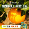 中华红血橙#皮薄肉厚，沁心爽口，化渣爆汁，现摘现发营养元素多 商品缩略图5