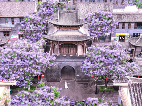 户外@2~8人【花漾滇川】昆明&西昌蓝花楹▪东川红土地▪元谋土林▪攀枝花凤凰花▪大石板村▪七里坝杜鹃花▪黑井古镇▪富民蓝花楹6天