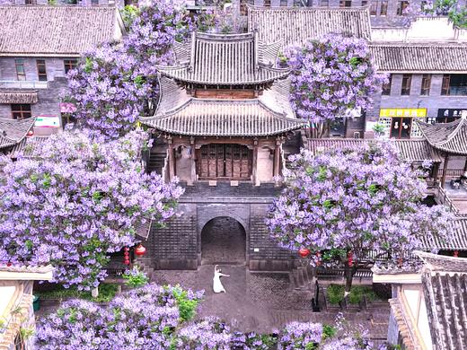 户外@2~8人【花漾滇川】昆明&西昌蓝花楹▪东川红土地▪元谋土林▪攀枝花凤凰花▪大石板村▪七里坝杜鹃花▪黑井古镇▪富民蓝花楹6天 商品图0