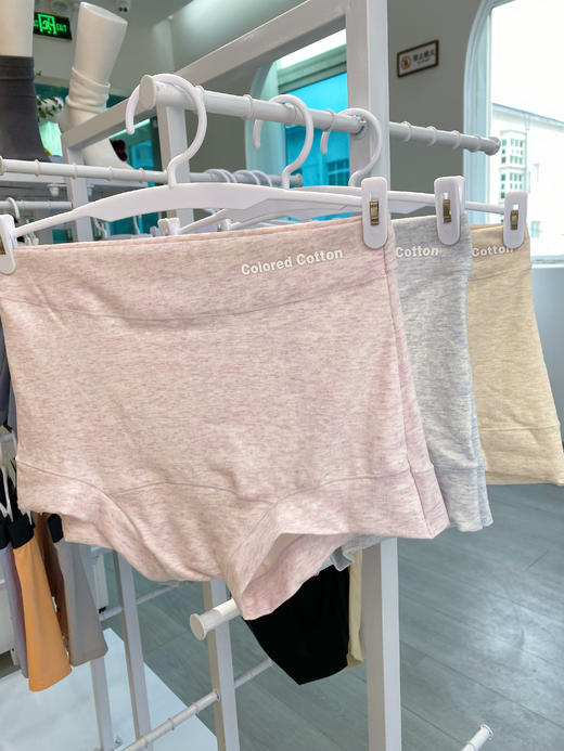 松植屋蓬蓬彩棉平角内裤A类新疆彩棉 高腰暖腹 透气不闷 不夹臀不卡裆 商品图5