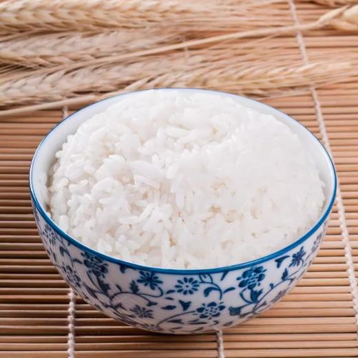 广东香米 5kg 新米长粒香软米籼米农家大米 10 斤装 商品图4