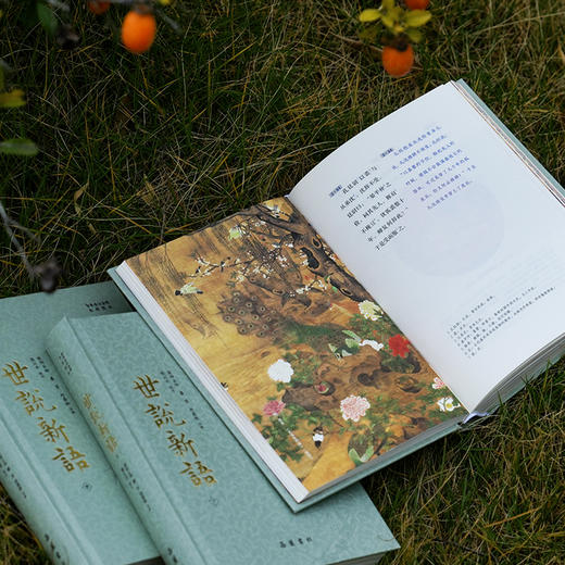 《世说新语》（全本全注全译全彩图本） 商品图5