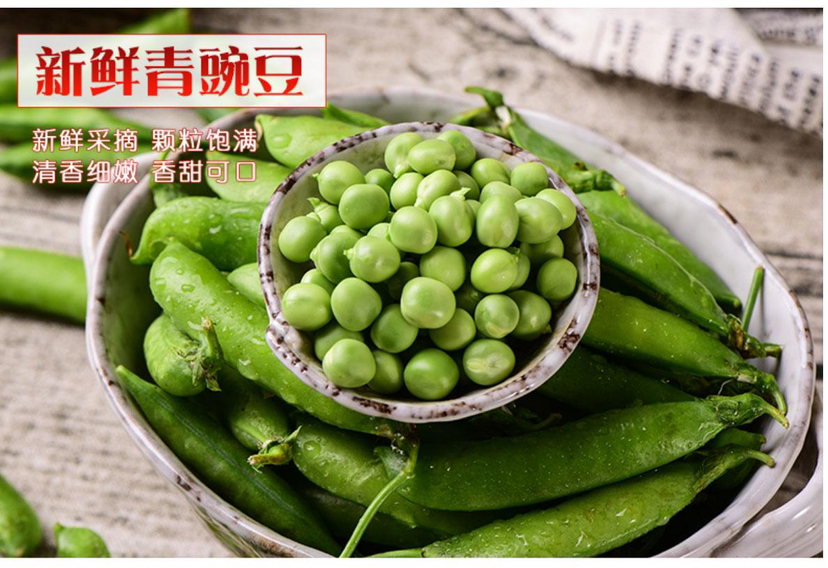【云南露天新鲜带壳甜脆豌豆】新鲜带壳采摘，云南气候优势，蔬菜比平原的更好吃基地直邮