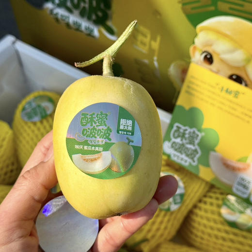 酥蜜超甜香瓜-礼盒 商品图0