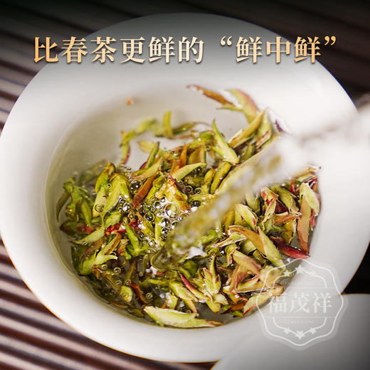 2026年早春头波“鲜中鲜”【紫芽苞】2026年春茶云南普洱生茶勐库大雪山紫芽苞尝鲜装 120g/罐 商品图2