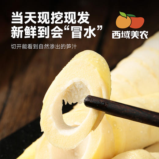 西域美农天目山春笋 新鲜到会“冒水” 的笋 很嫩    云南，贵州，黑龙江，吉林发中通快递，其他区域发顺丰 商品图1