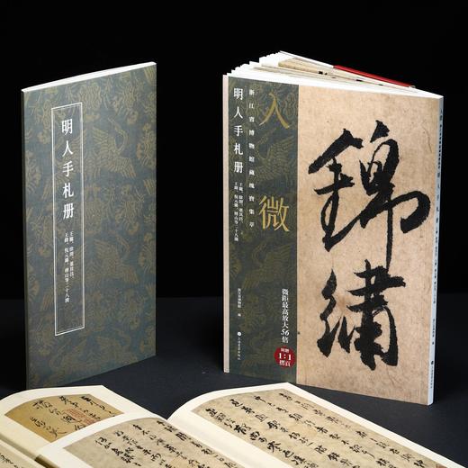 《入微——浙江省博物馆藏瑰宝集萃（书法卷）》 商品图1