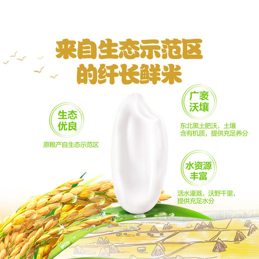 【抄低价】金龙鱼稻谷鲜生6步鲜金域鲜稻长粒香2.5kg 商品图1