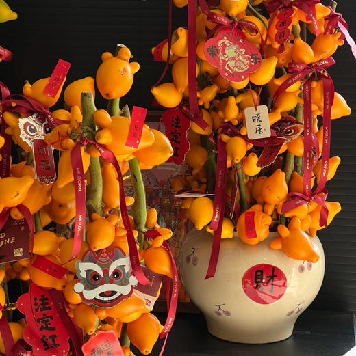 《红红火火》五代果瓶插花 商品图1