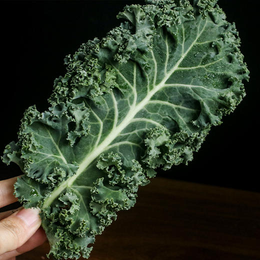 【顺丰包邮】高原阳光羽衣甘蓝 三个0羽衣甘蓝 1斤/2斤 商品图2