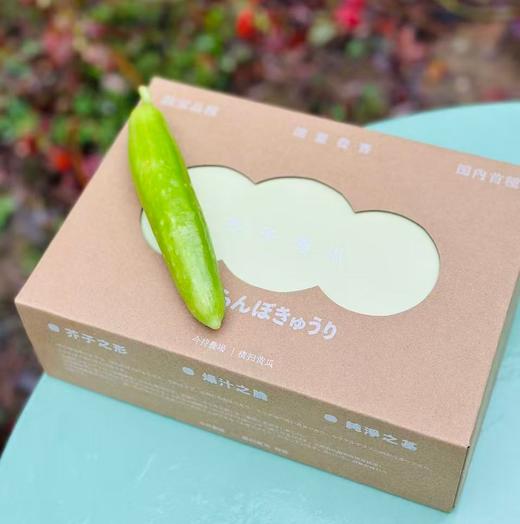 国内首次种植、限量发售的独家蔬菜品种。小巧细长，颜色浅绿，口感清脆。 绿色种植天然采摘0农残👩🌾今早首批次到货！独家品种， 年后减脂必备~ 商品图7