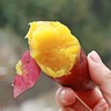 临安天目山小香薯 个头均匀 紫皮黄心 皮薄少筋 中薯更甜 小薯更糯 香甜软糯赛板栗  商品缩略图0