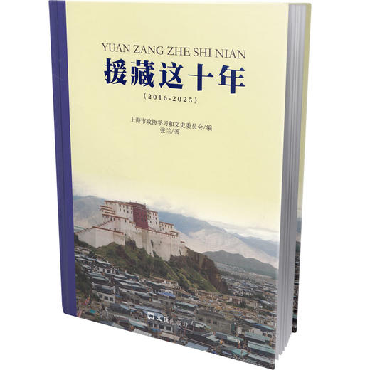 援藏这十年：2016-2025 商品图0