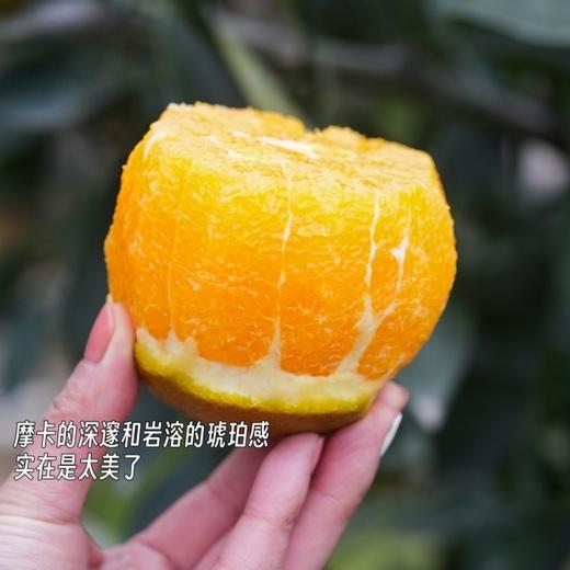 巧克力宗橙【稀缺品种，全国独有产区，限量出售，全年售卖期只有10天】（到货冷藏！） 商品图2