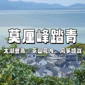 【亲子营】莫厘峰1日 | 登太湖东山之巅，赏春日花海，踏青放飞风筝！