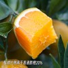 巧克力宗橙【稀缺品种，全国独有产区，限量出售，全年售卖期只有10天】（到货冷藏！） 商品缩略图3